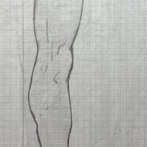 Proporciones de la pierna y el pie de perfil
