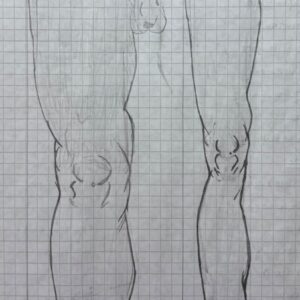 Proporciones de la pierna y el pie